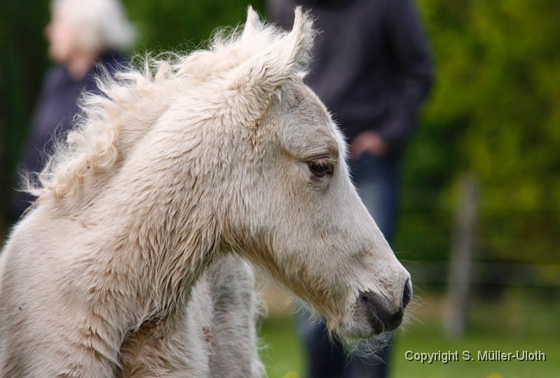 Hjoerdis 2 Stunden und 35 Min alt.jpg